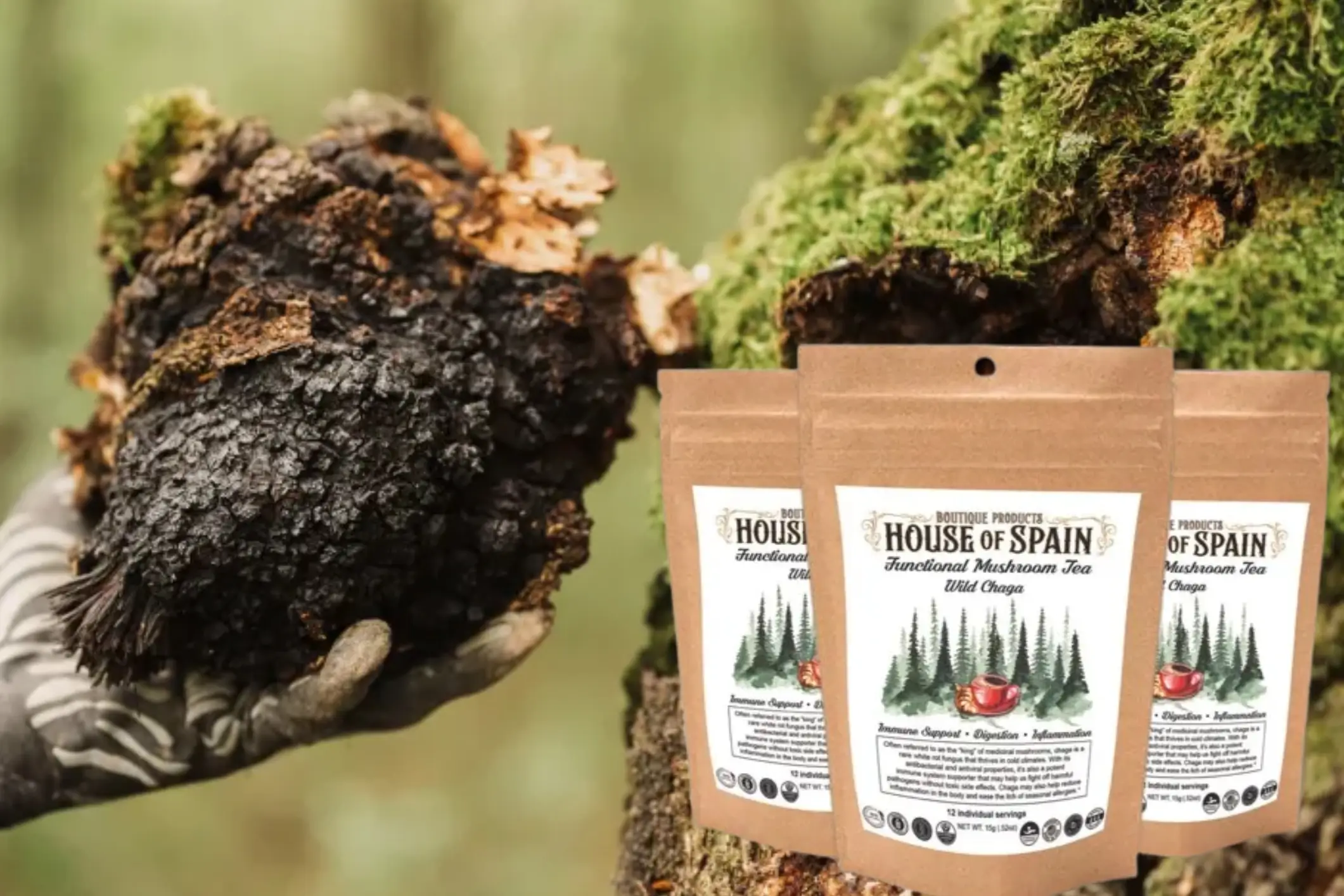 Functional Mushroom Tea Wild Changa