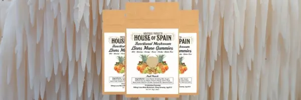Lions Mane Gummies