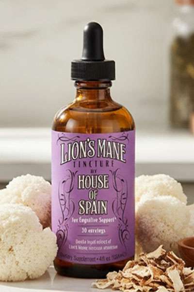 Lions Mane Tincture